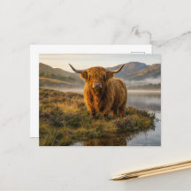 Highland Cow Scottish Highlands Misty Loch Sunrise