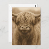 Highland Cow Sepia Portrait ポストカード (正面/裏面)
