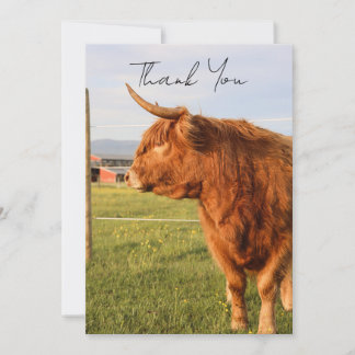 Highland Cow Thank You Card サンキューカード