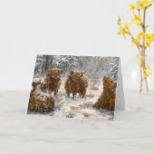  Highland Soul: Whimsical Snowy Cows Vintage カード (黄色い花)