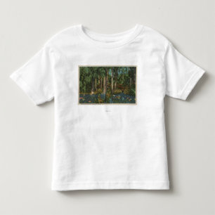 Highlands郡、FL -高地のハンモックの眺め トドラーTシャツ