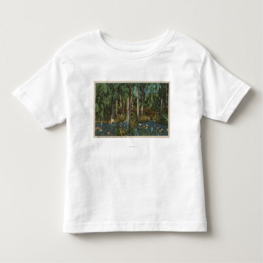 Highlands郡、FL -高地のハンモックの眺め トドラーTシャツ (正面)