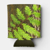 Highlights of a Redwood Tree Botanical 缶クーラー (裏面)