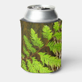 Highlights of a Redwood Tree Botanical 缶クーラー (缶裏面)