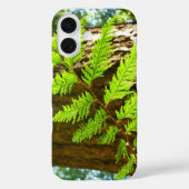 Highlights of a Redwood Tree Botanical Case-Mate iPhoneケース (裏面)