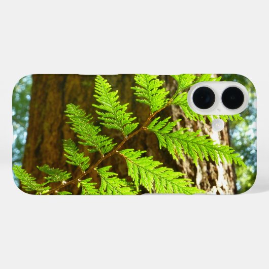 Highlights of a Redwood Tree Botanical Case-Mate iPhoneケース (裏面 (横))