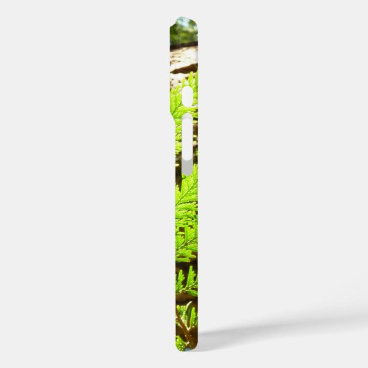 Highlights of a Redwood Tree Botanical Case-Mate iPhoneケース (裏面 / 左)
