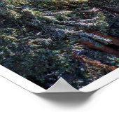 Hiking the Lakes Basin ポスター (角)