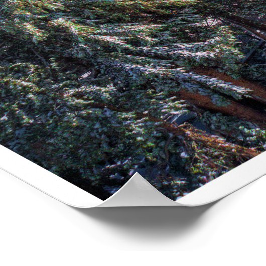 Hiking the Lakes Basin ポスター (角)