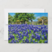 Hill Country Texas Bluebonnet Note Card Set ノートカード (正面)
