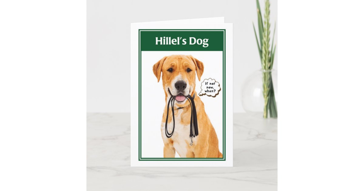 Hillelの犬のおもしろいなバーかバルミツワーカード カード Zazzle Co Jp