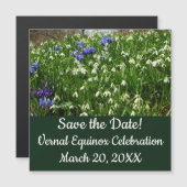 Hillside of Early Spring Flowers Landscape (正面/裏面)