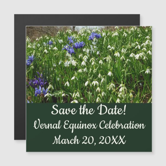 Hillside of Early Spring Flowers Landscape (正面/裏面)