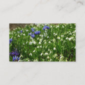 Hillside of Early Spring Flowers Landscape 名刺 (裏面)