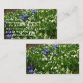 Hillside of Early Spring Flowers Landscape 名刺 (正面/裏面)