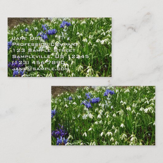 Hillside of Early Spring Flowers Landscape 名刺 (正面/裏面)