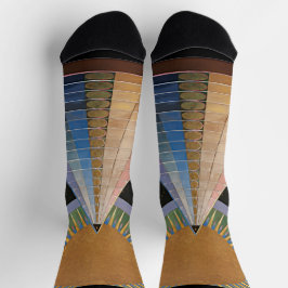 Hilma af Klint Socks ソックス