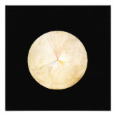 Hilma Af Klint, The Swan No.14,抽象芸術・アート フォトプリント (正面)