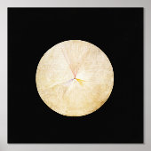 Hilma Af Klint, The Swan No.14,抽象芸術・アート 箔ポスター (正面)