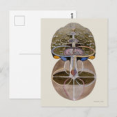 Hilma af Klint - Tree of Knowledge, No. 1 ポストカード (正面/裏面)