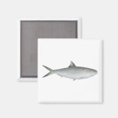 Hilsa Shad マグネット (正面/裏面)