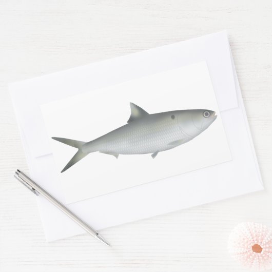 Hilsa Shad 長方形シール (封筒)