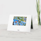 Himalayan blue poppy カード (裏面)