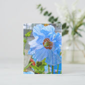 Himalayan Blue Poppy [Postcard] ポストカード (スタンド正面)