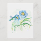 Himalayan Blue Poppy with Hummingbird ポストカード (正面)