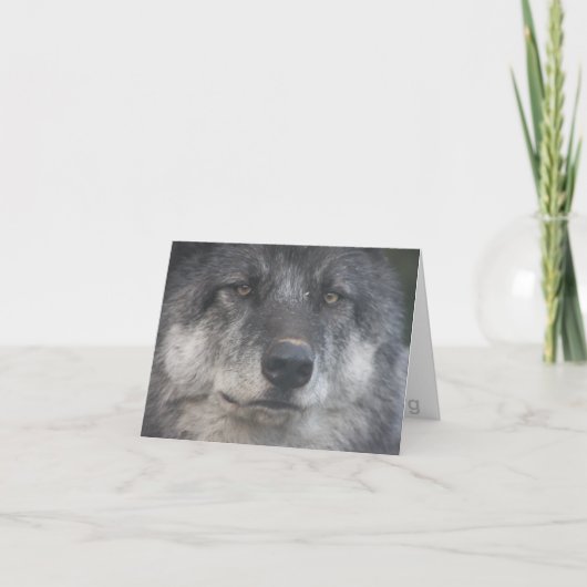 Himtuuqinのメッセージカード カード (正面)