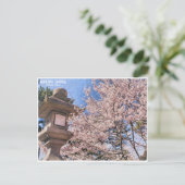 Himuro Shrine (Yoshino Cherry) ポストカード (スタンド正面)