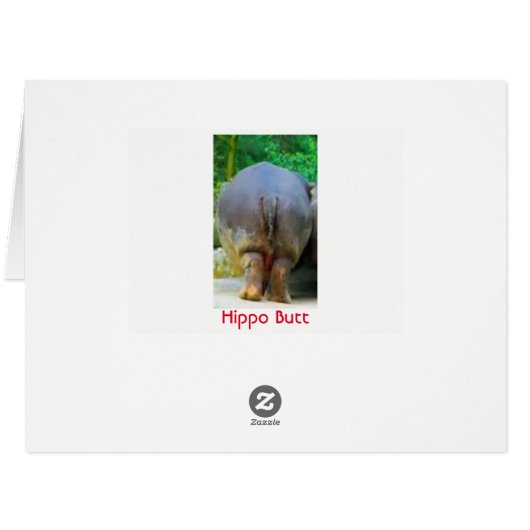 Hippoとは (裏面横)