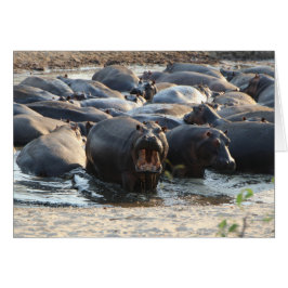 Hippoカード – 内空白の部