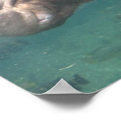 hippo1ポスター ポスター (角)