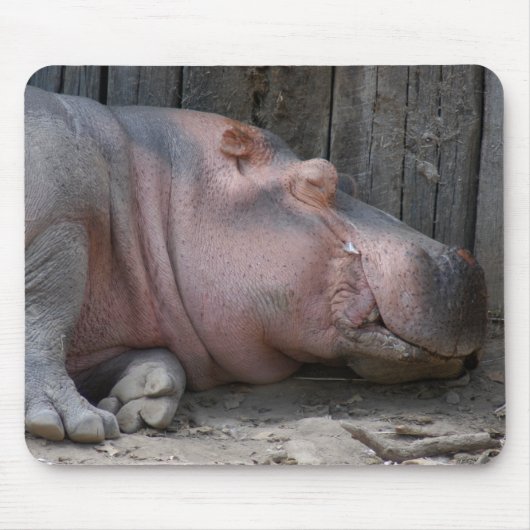 hippo2-4 マウスパッド (正面)