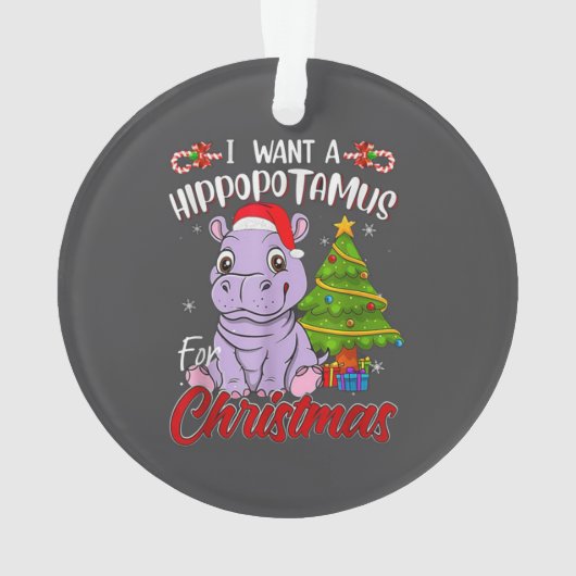  HIPPO  オーナメント (裏面)