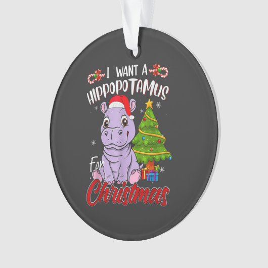  HIPPO  オーナメント (正面)