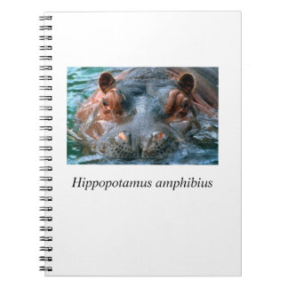 Hippo#1 ノートブック