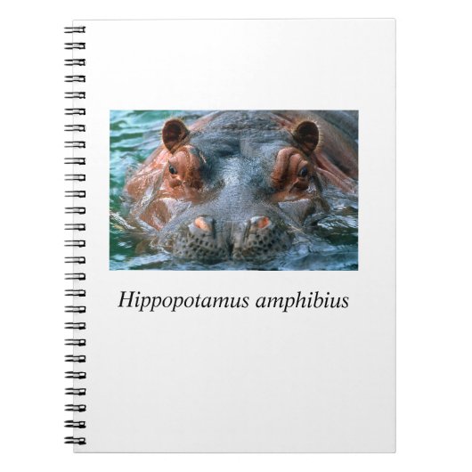 Hippo#1 ノートブック (正面)
