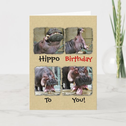 Hippo Birthday To You Greeting Card カード (正面)