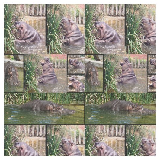 Hippo Determination Photo Collage ファブリック (クローズアップ)