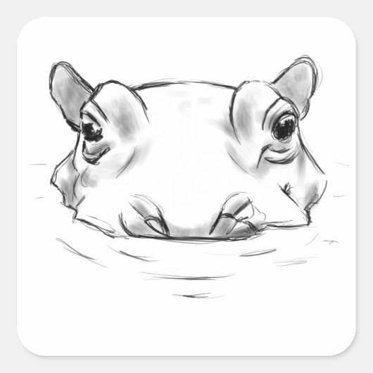 Hippo drawing スクエアシール (正面)