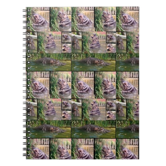 Hippo Photo Collage ノートブック (正面)