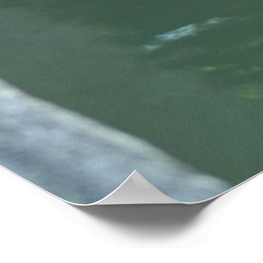 Hippo Poster ポスター (角)