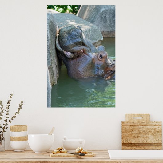Hippo Poster ポスター (キッチン)