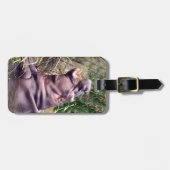 Hippo Roar、荷物タグ ラゲッジタグ (正面横)