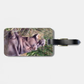 Hippo Roar、荷物タグ ラゲッジタグ (裏面横)