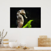 Hippocampus ポスター (キッチン)