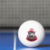 Hippopotamus Scarf and Beany  卓球ボール (ネット)