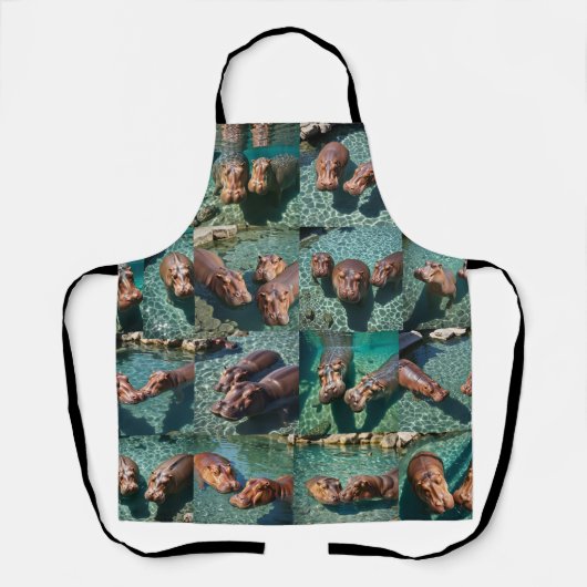 Hippos at 遊: A Pond Paradise エプロン (正面)